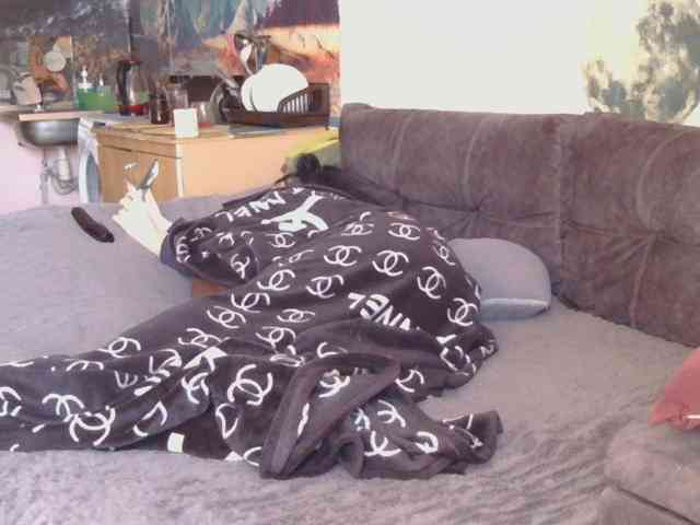 Ornotores_wers webcam