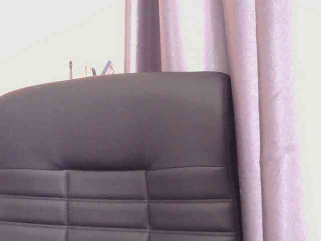 Ornotores_wers webcam