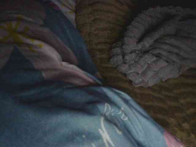 Ornotores_wers webcam