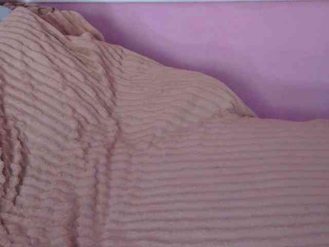 Ornotores_wers webcam