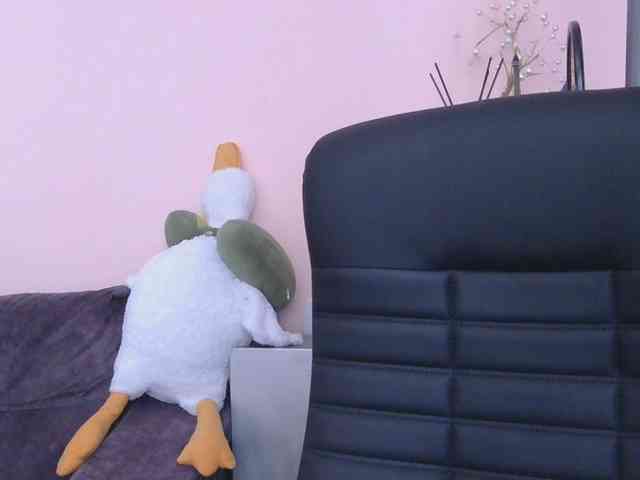 Ornotores_wers webcam