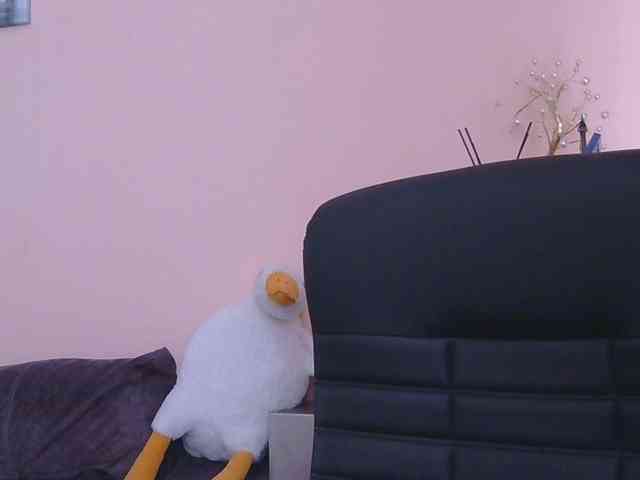 Ornotores_wers webcam