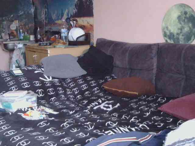 Ornotores_wers webcam