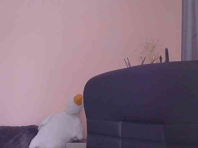 Ornotores_wers webcam