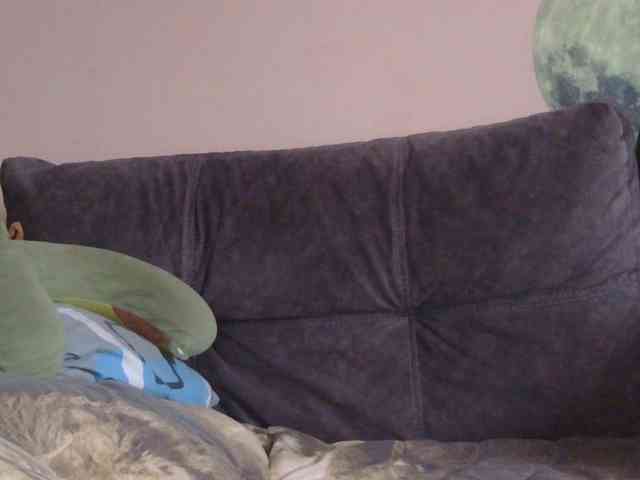 Ornotores_wers webcam