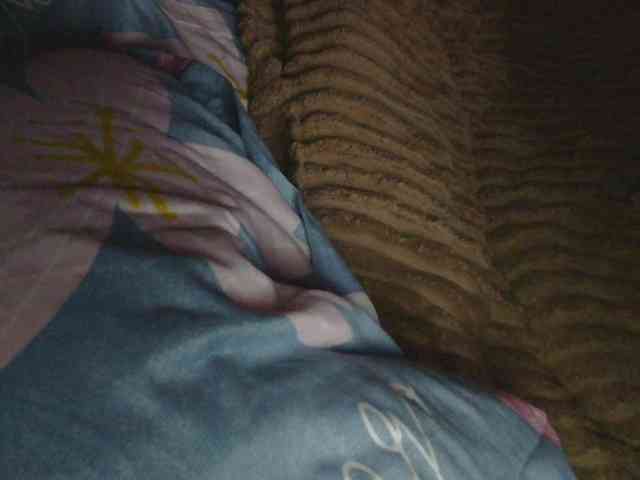 Ornotores_wers webcam