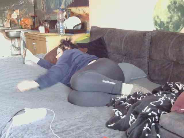 Ornotores_wers webcam