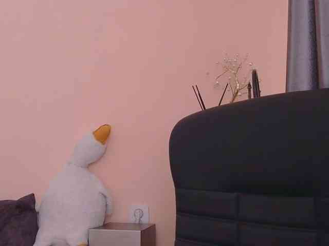 Ornotores_wers webcam