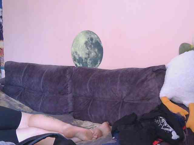 Ornotores_wers webcam