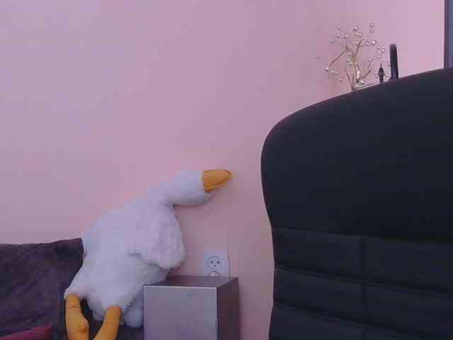Ornotores_wers webcam