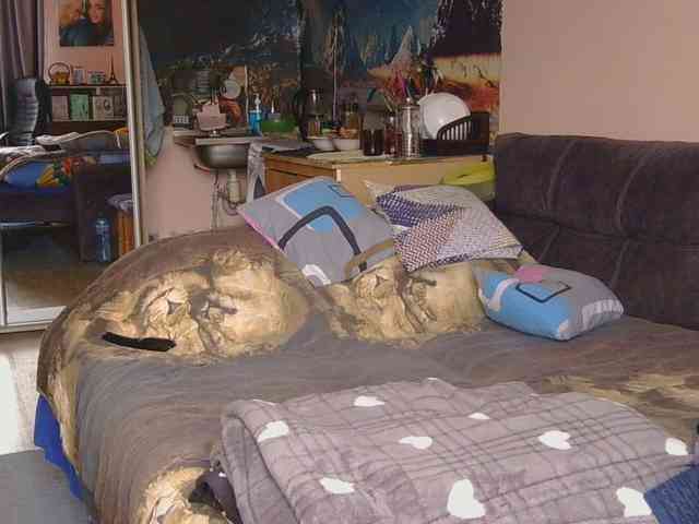 Ornotores_wers webcam