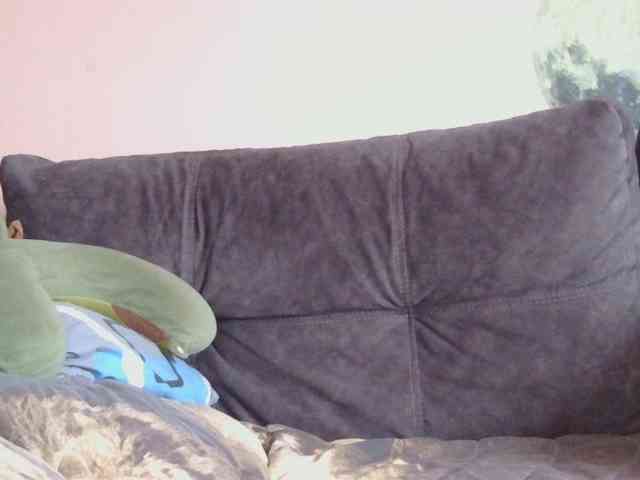 Ornotores_wers webcam
