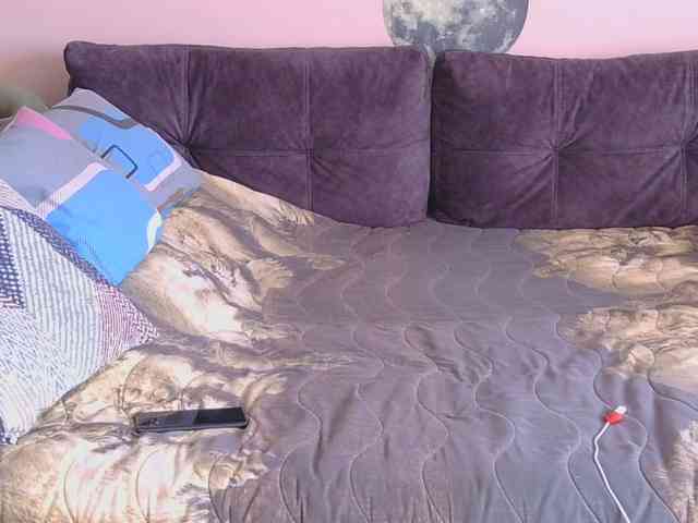Ornotores_wers webcam