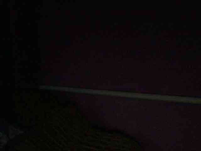 Ornotores_wers webcam