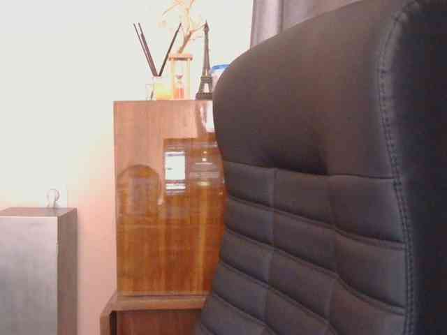 Ornotores_wers webcam