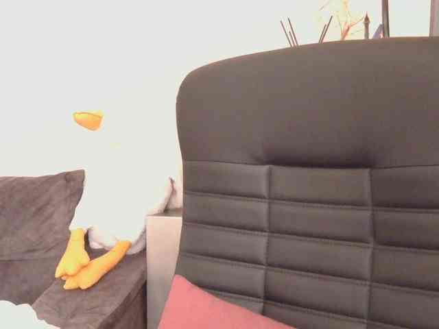 Ornotores_wers webcam
