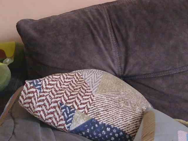 Ornotores_wers webcam