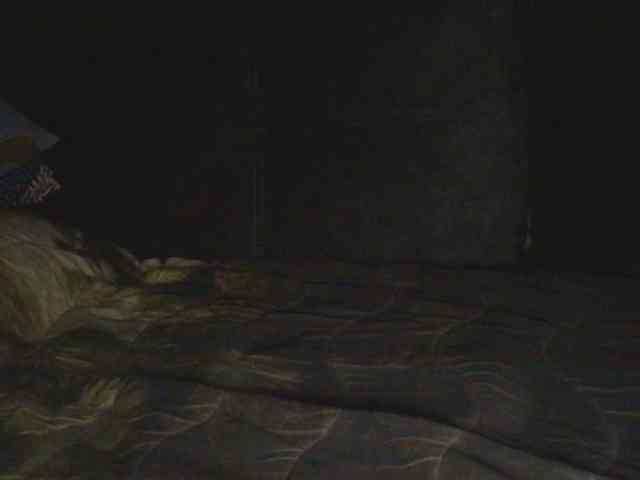 Ornotores_wers webcam