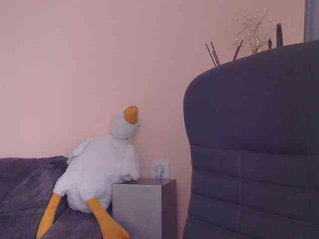 Ornotores_wers webcam