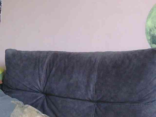 Ornotores_wers webcam