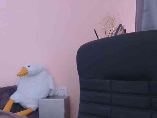 Ornotores_wers webcam