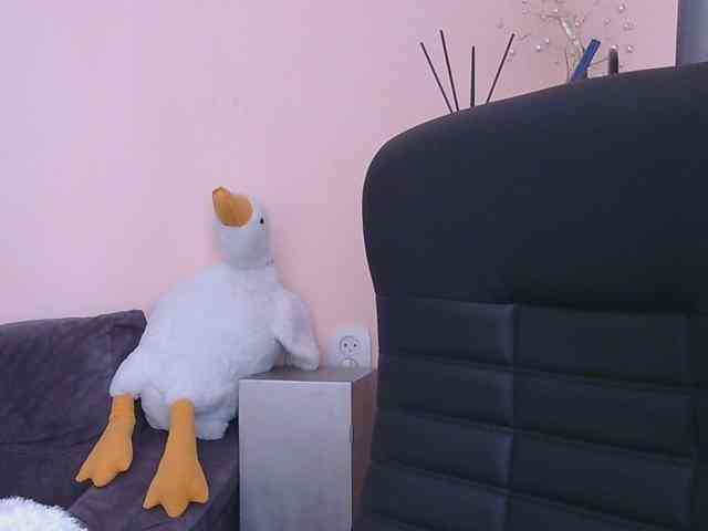 Ornotores_wers webcam