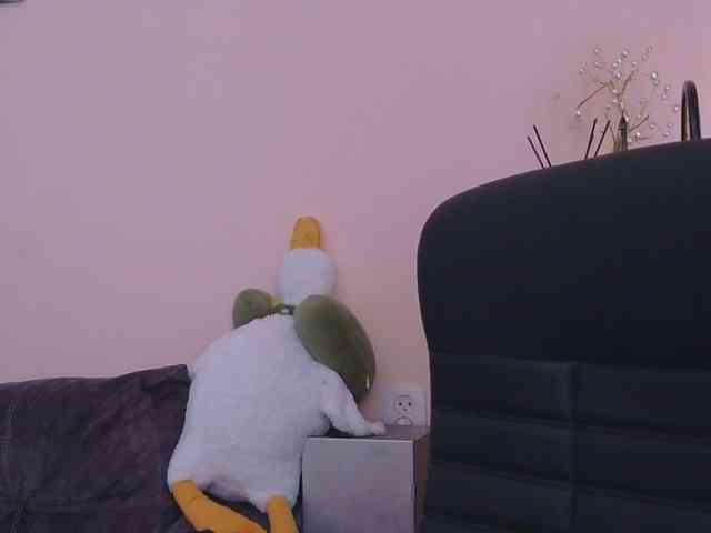 Ornotores_wers webcam