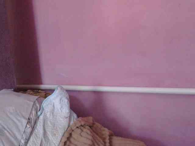 Ornotores_wers webcam