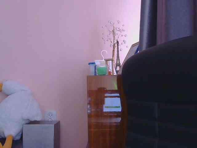 Ornotores_wers webcam