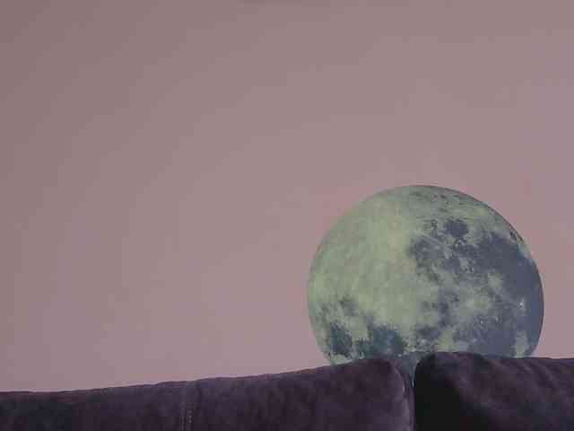 Ornotores_wers webcam
