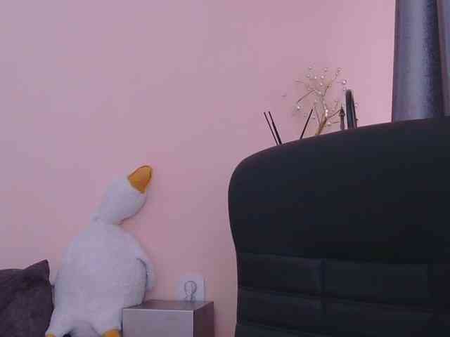 Ornotores_wers webcam