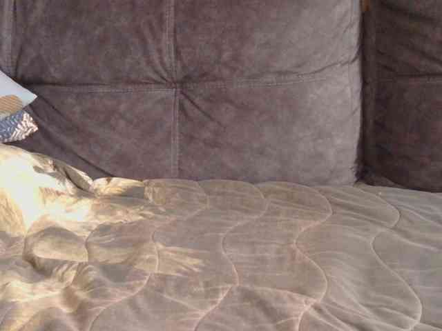 Ornotores_wers webcam