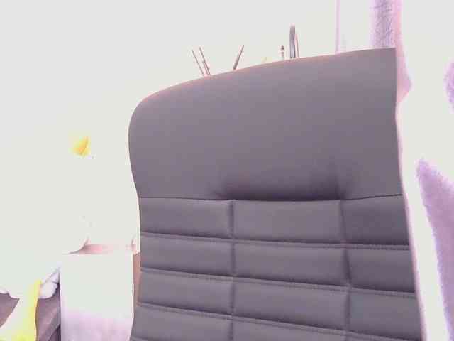 Ornotores_wers webcam