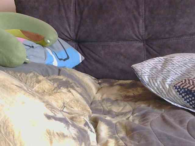 Ornotores_wers webcam