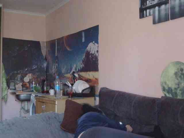 Ornotores_wers webcam