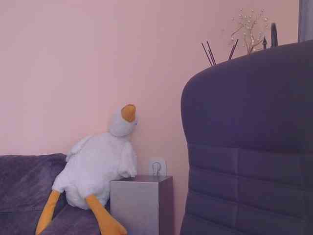 Ornotores_wers webcam