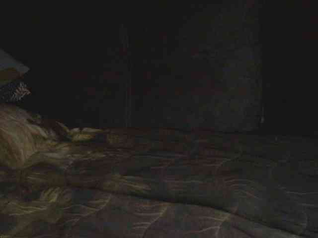 Ornotores_wers webcam