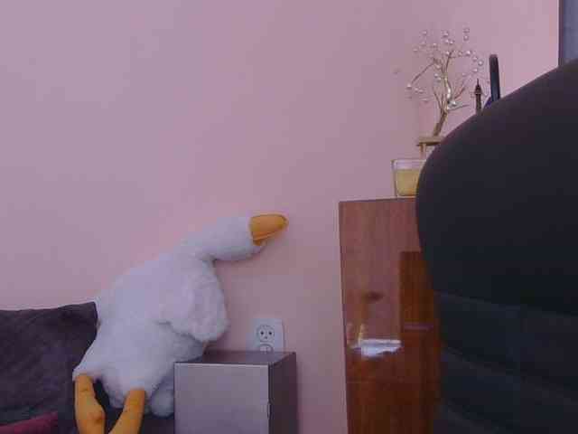 Medjik-lool