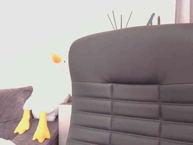Ornotores_wers webcam