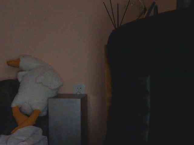 Ornotores_wers webcam