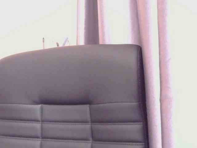 Ornotores_wers webcam