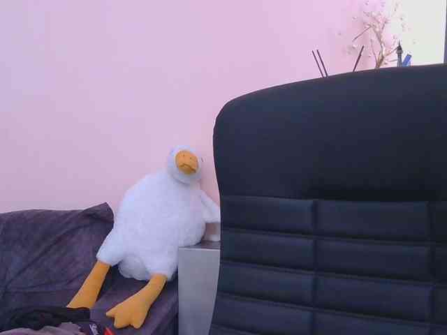 Ornotores_wers webcam
