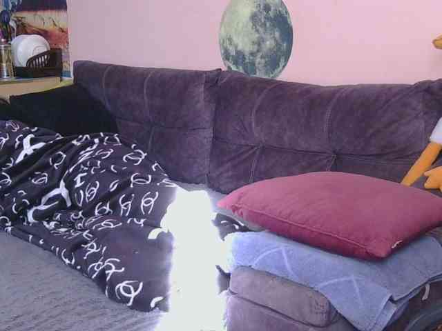 Ornotores_wers webcam