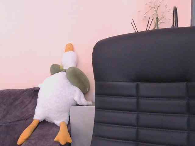 Ornotores_wers webcam