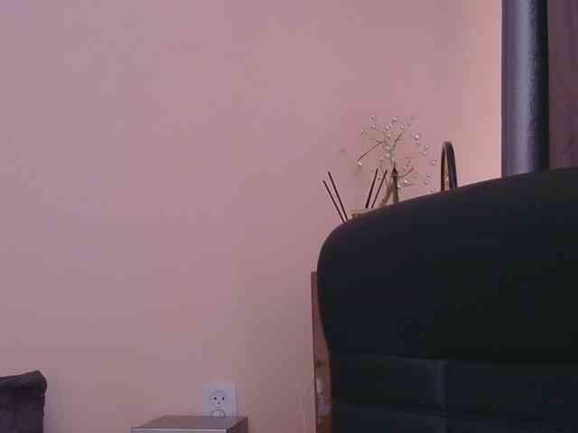 Ornotores_wers webcam