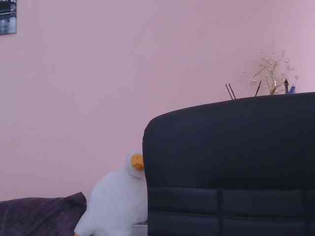 Ornotores_wers webcam