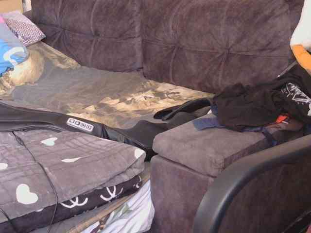 Ornotores_wers webcam