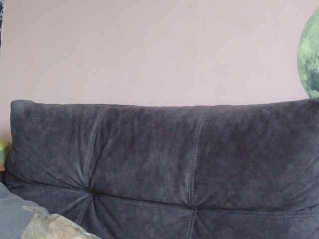 Ornotores_wers webcam