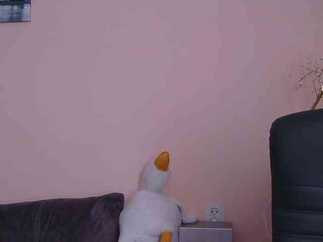 Ornotores_wers webcam