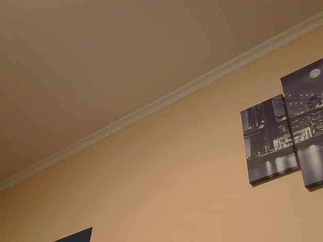 Ornotores_wers webcam